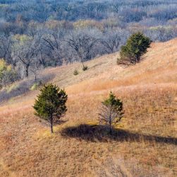 Vente d'une parcelle de terrain