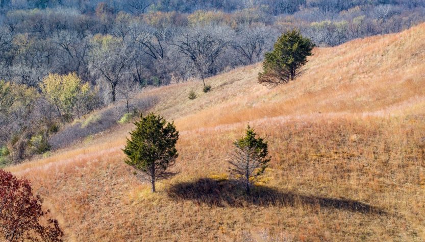 Vente d'une parcelle de terrain