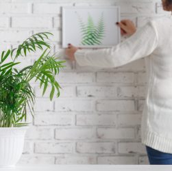 plante d'ombre d'intérieur choisir pour un espace sans lumière naturelle