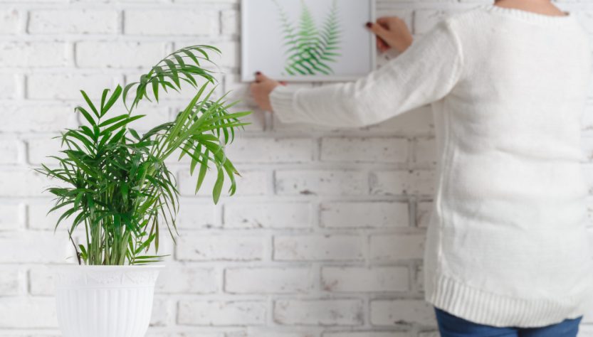 plante d'ombre d'intérieur choisir pour un espace sans lumière naturelle